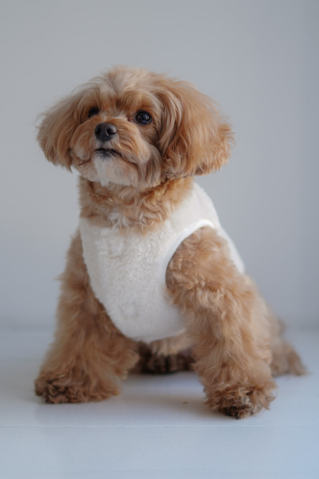 Puff Vest White｜犬 服 ボア ベスト ドッグウェア 冬 防寒