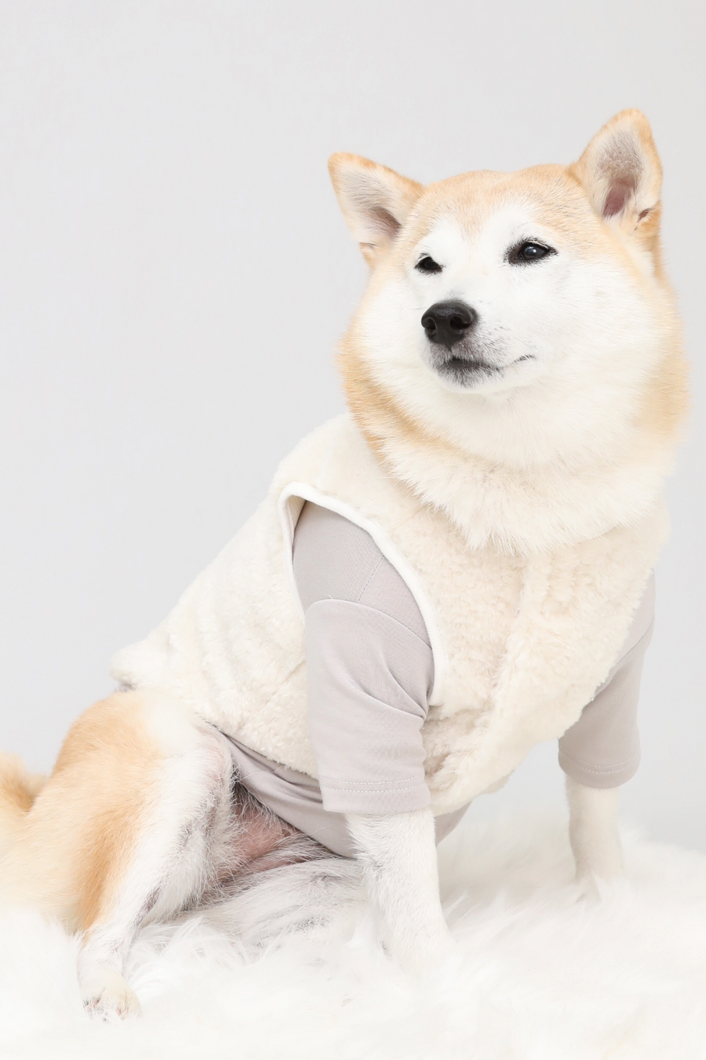 Puff Vest White｜犬 服 ボア ベスト ドッグウェア 冬 防寒