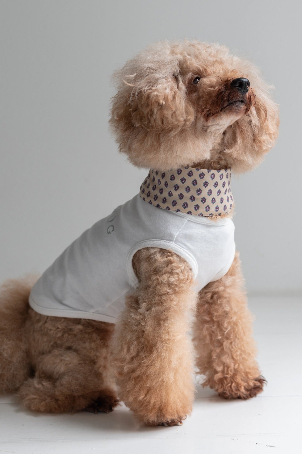 PONODOG Cooling Tee（ホワイト）｜上品な箔プリントをあしらった、日本製接触冷感犬用Tシャツ