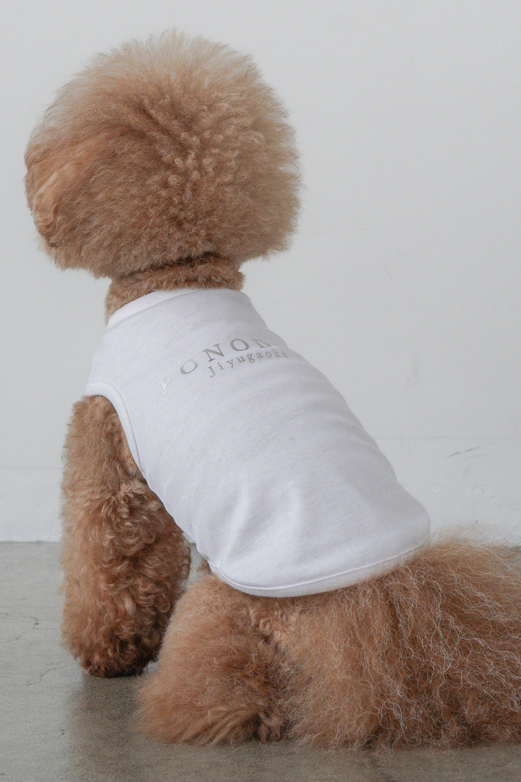 PONODOG Cooling Tee（ホワイト）｜上品な箔プリントをあしらった、日本製接触冷感犬用Tシャツ