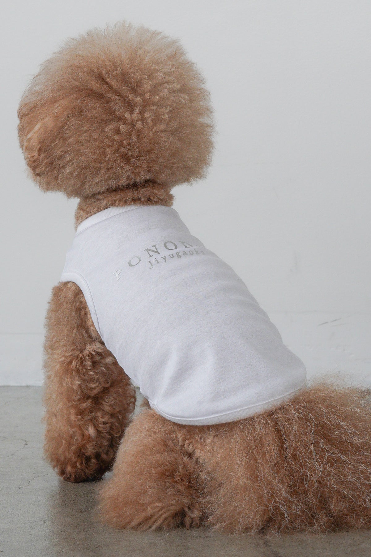 PONODOG Cooling Tee（ホワイト）｜上品な箔プリントをあしらった、日本製接触冷感犬用Tシャツ