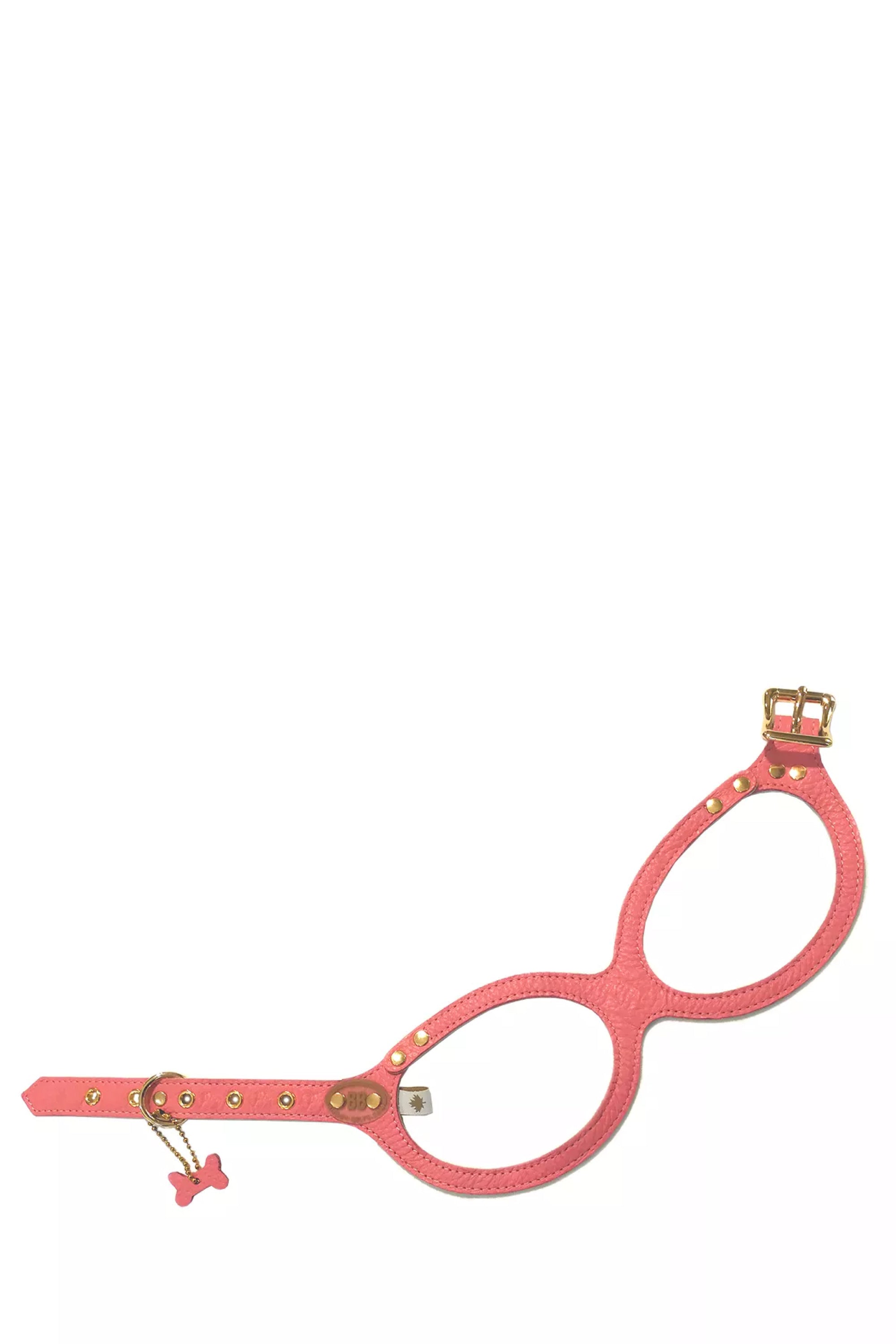BuddyBelts Harness & Lead – CoralDream