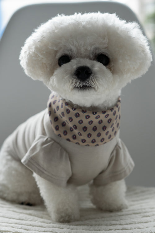 NEAR Dog Scarf
