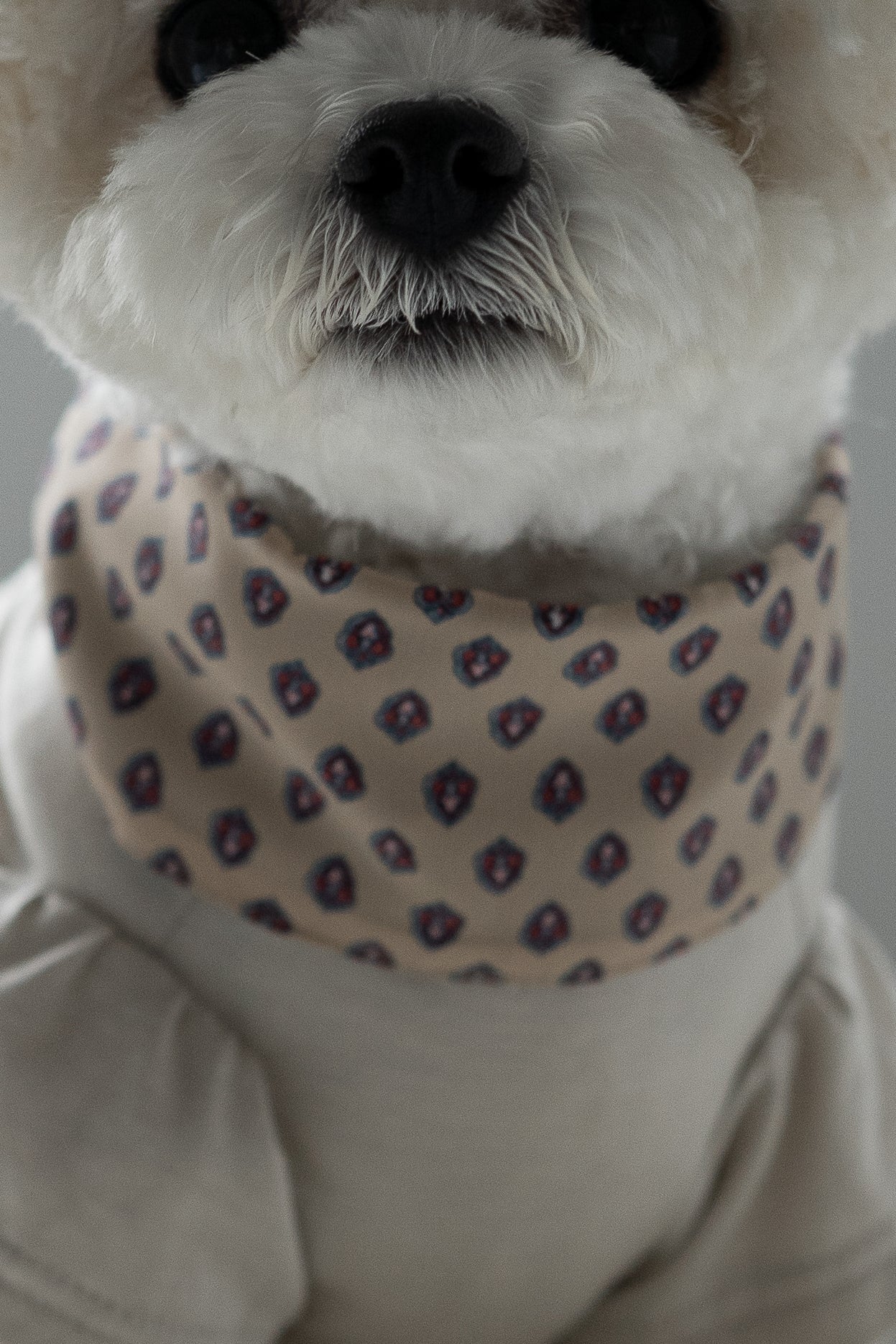 NEAR Dog Scarf