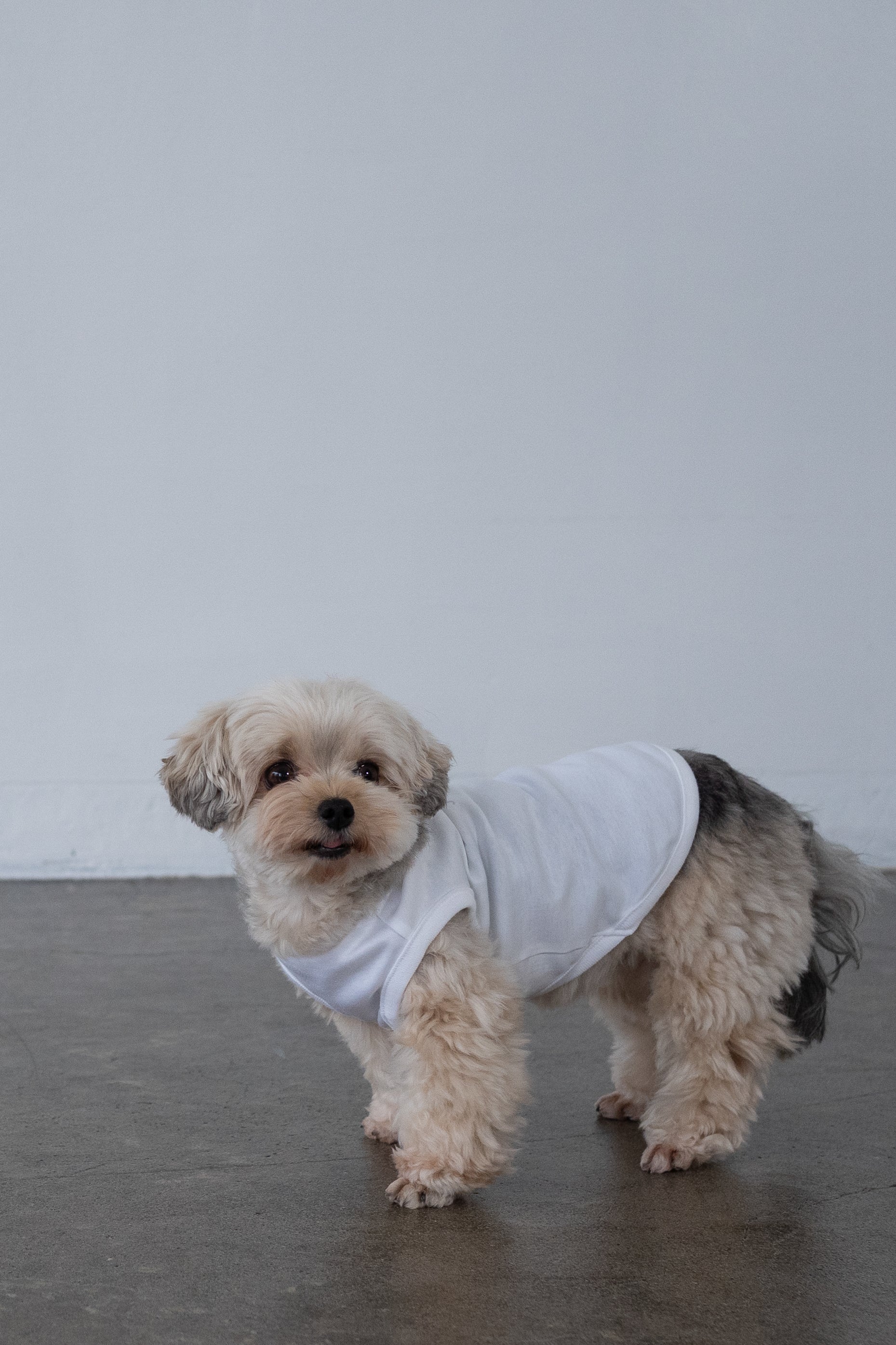 Cooling Tee - White