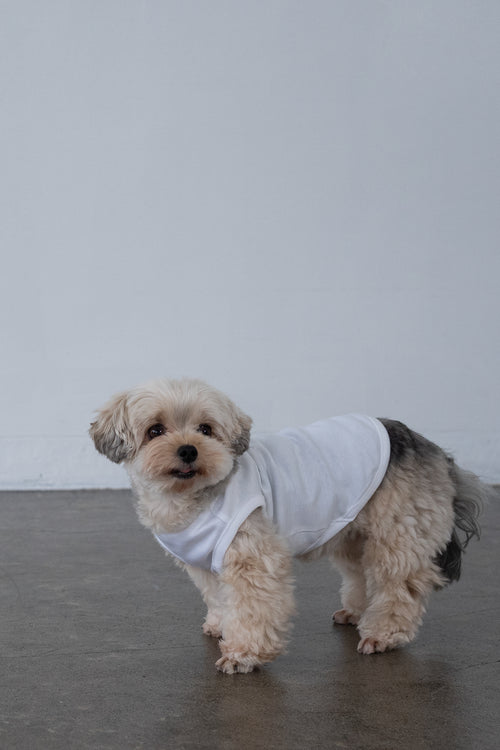 Cooling Tee - White