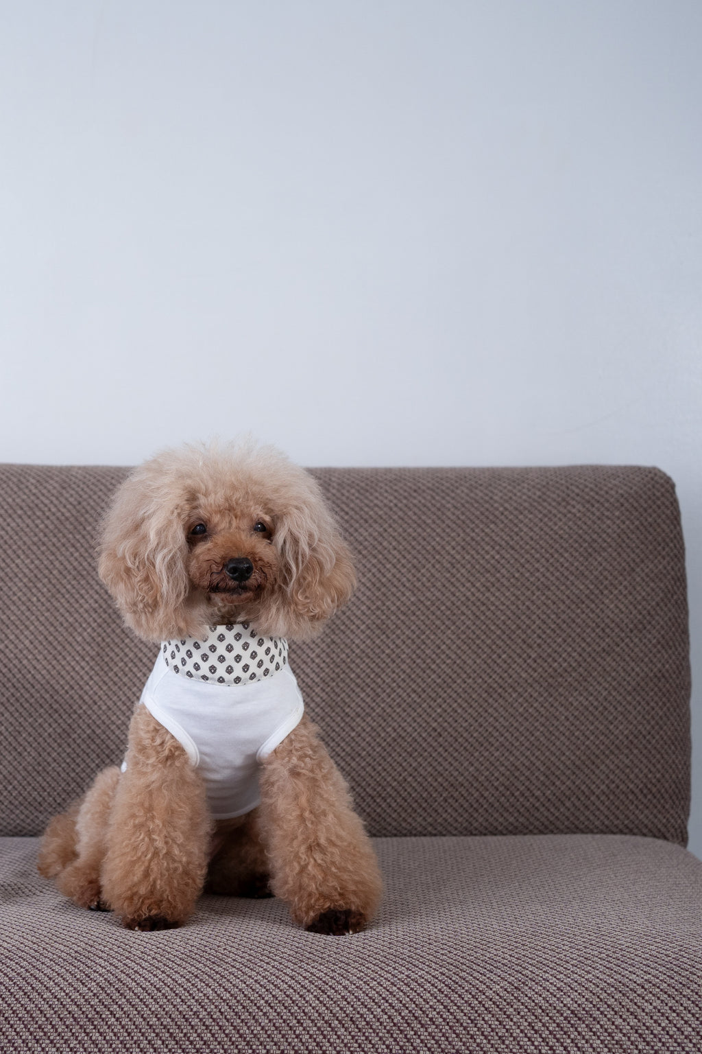 NEAR Dog Scarf