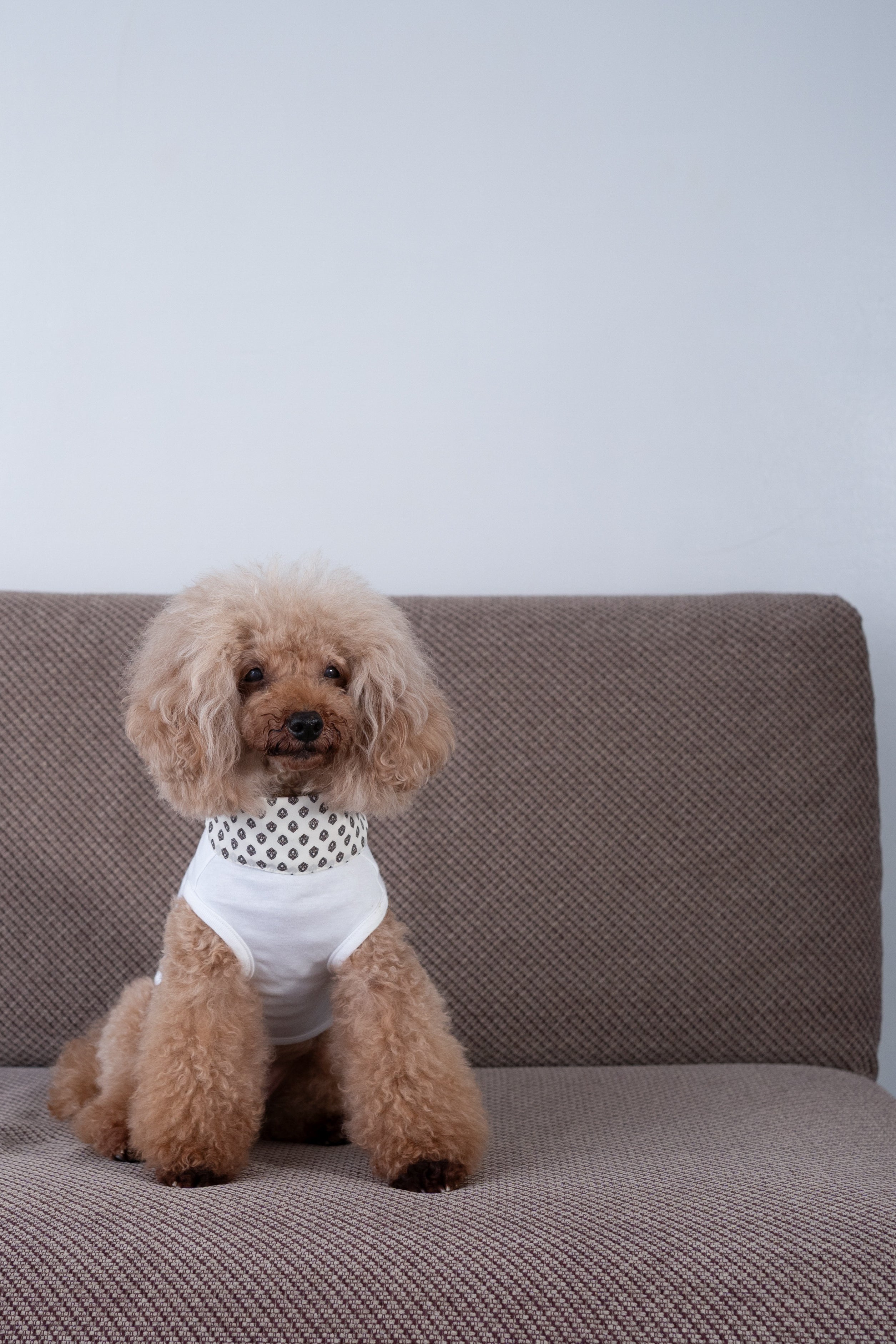 NEAR Dog Scarf
