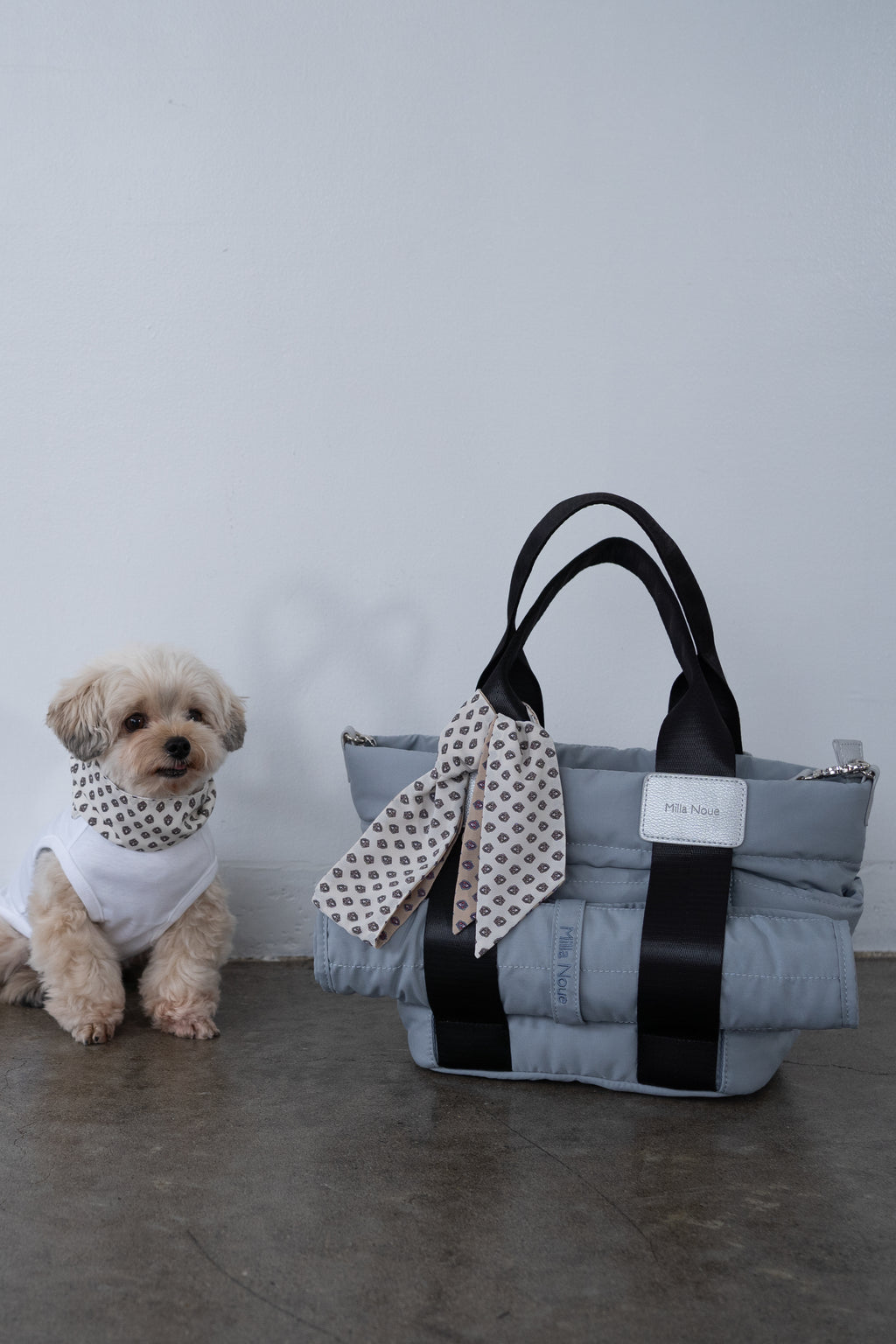 Walk Tote