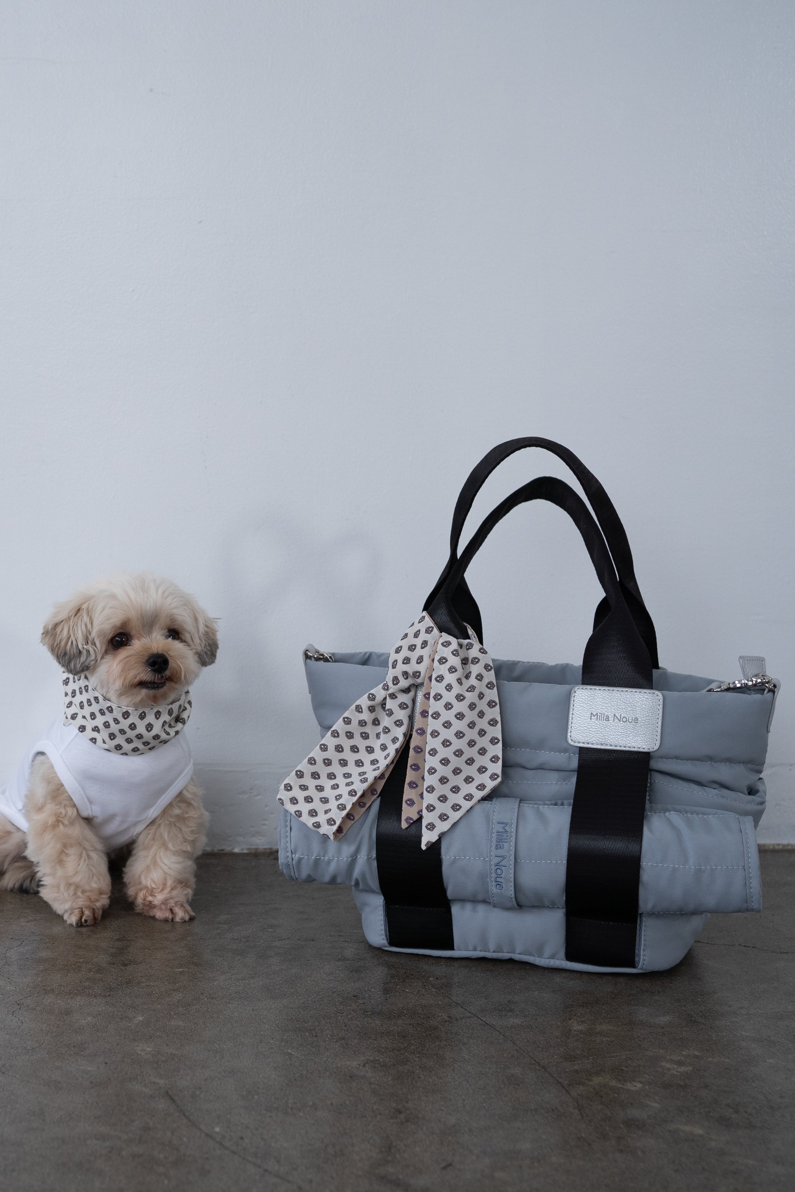 Walk Tote
