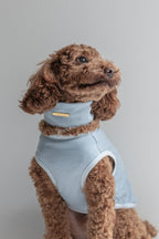 NEAR Dog Scarf