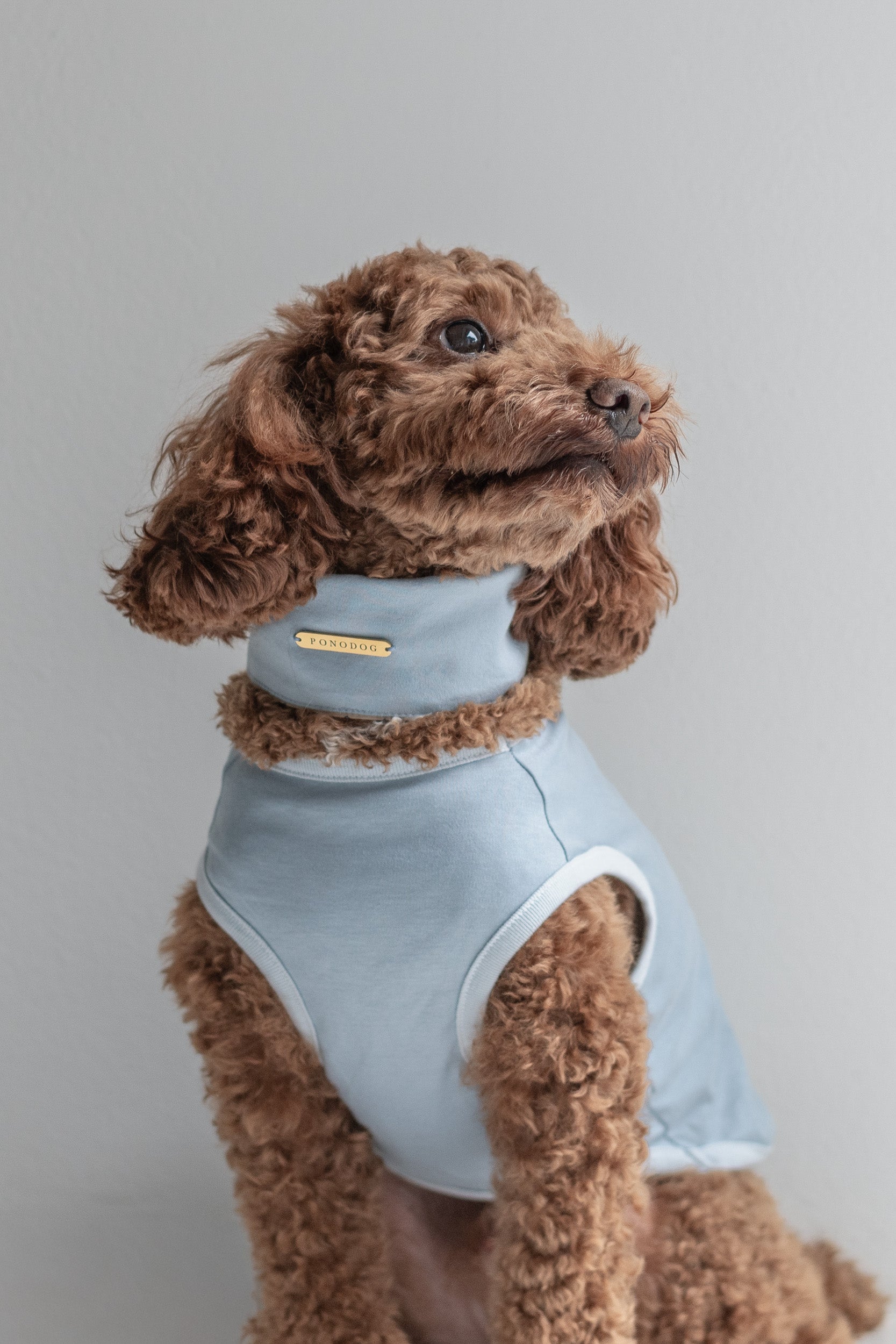 NEAR Dog Scarf