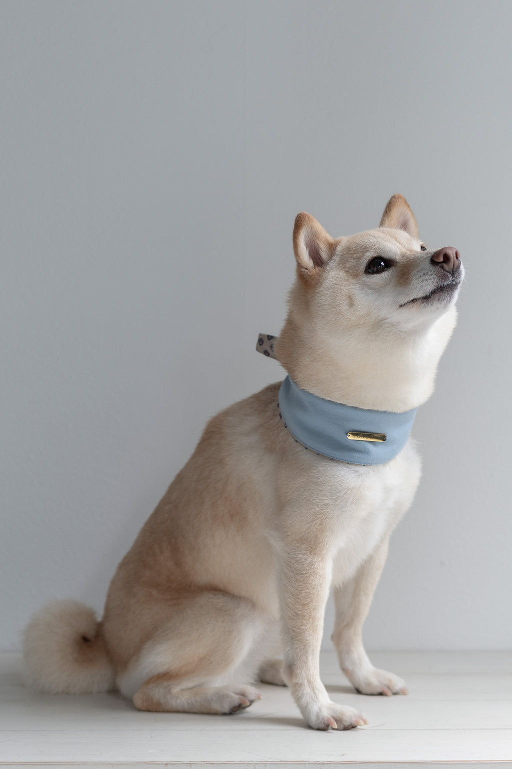NEAR Dog Scarf