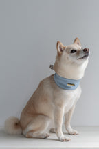 NEAR Dog Scarf