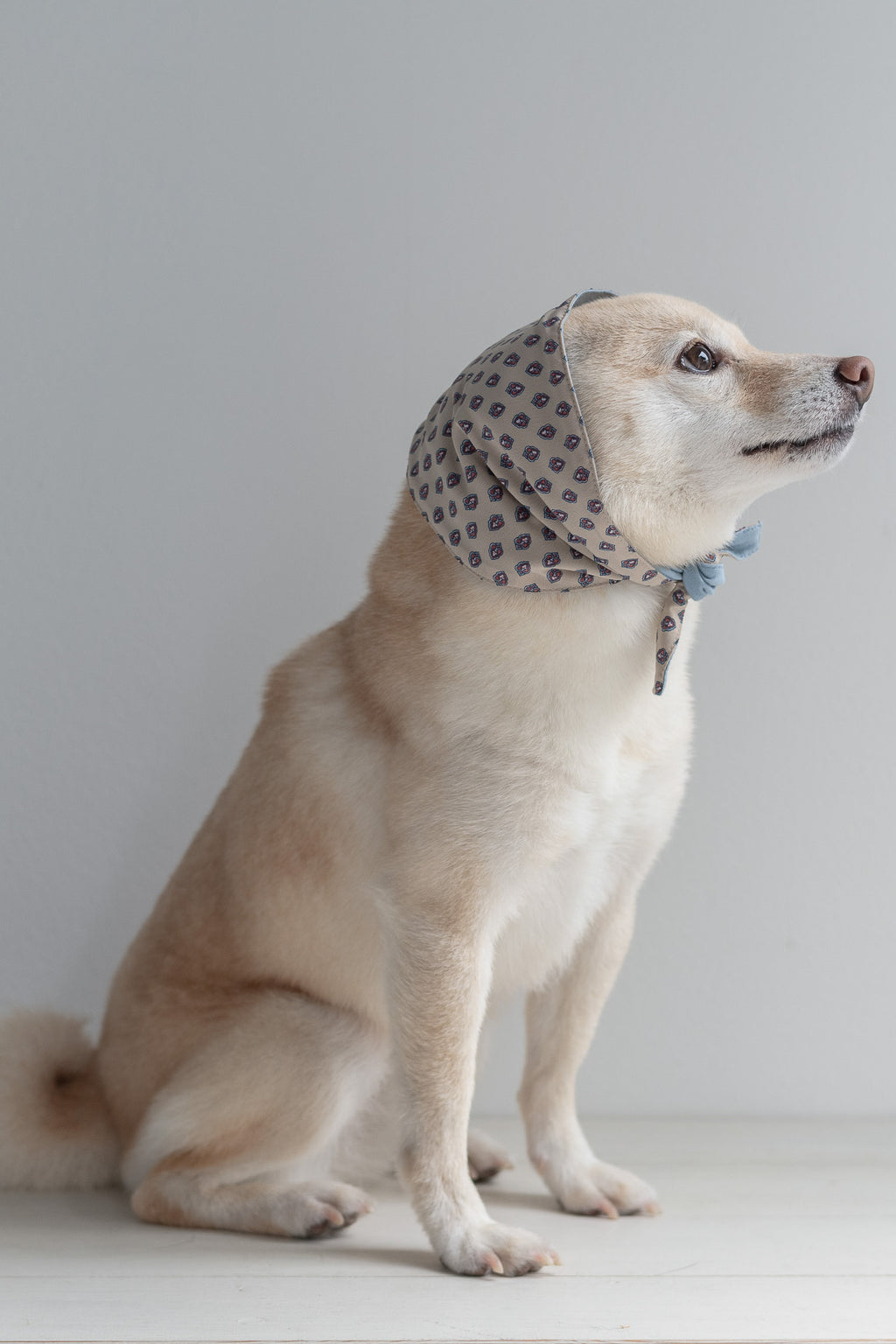 NEAR Dog Scarf