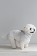 NEAR Dog Scarf