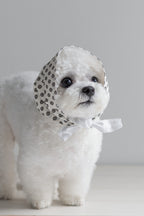 NEAR Dog Scarf