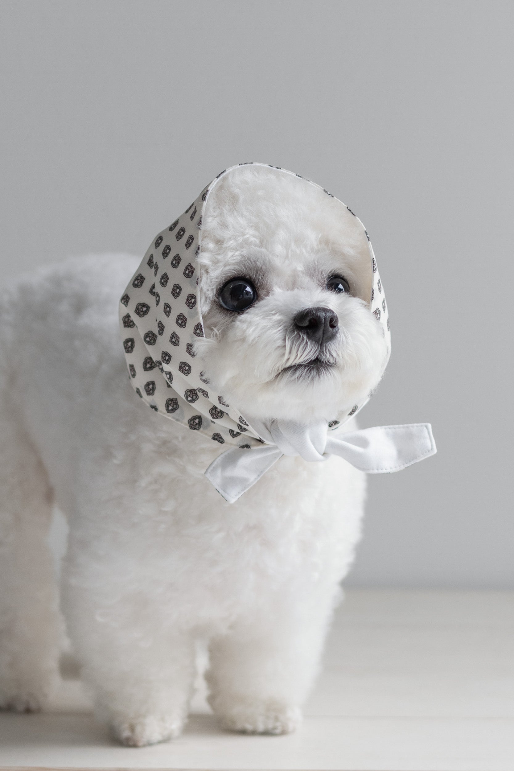 NEAR Dog Scarf