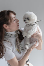 NEAR Scarf