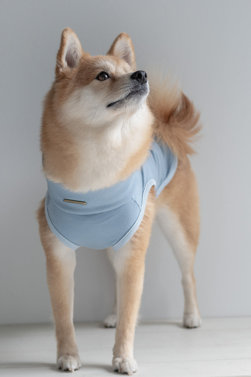 NEAR Dog Scarf
