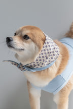 NEAR Dog Scarf