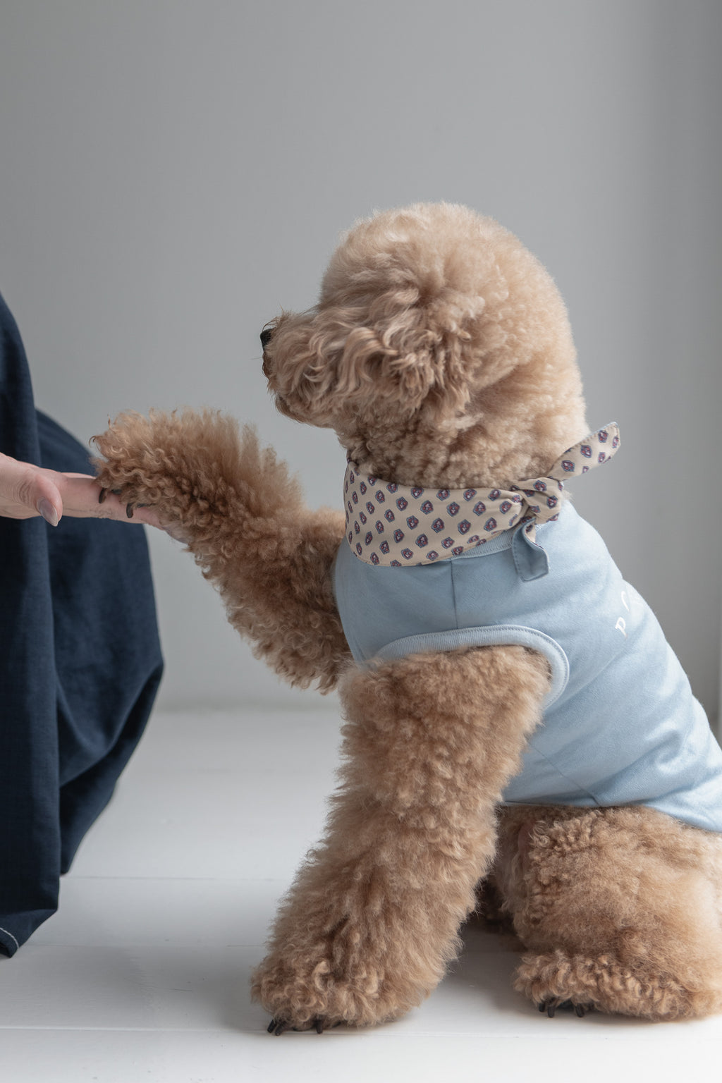 NEAR Dog Scarf