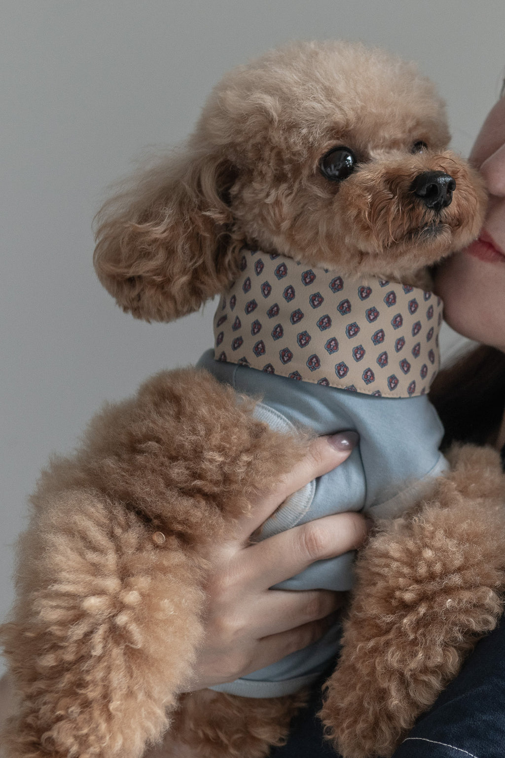 NEAR Dog Scarf