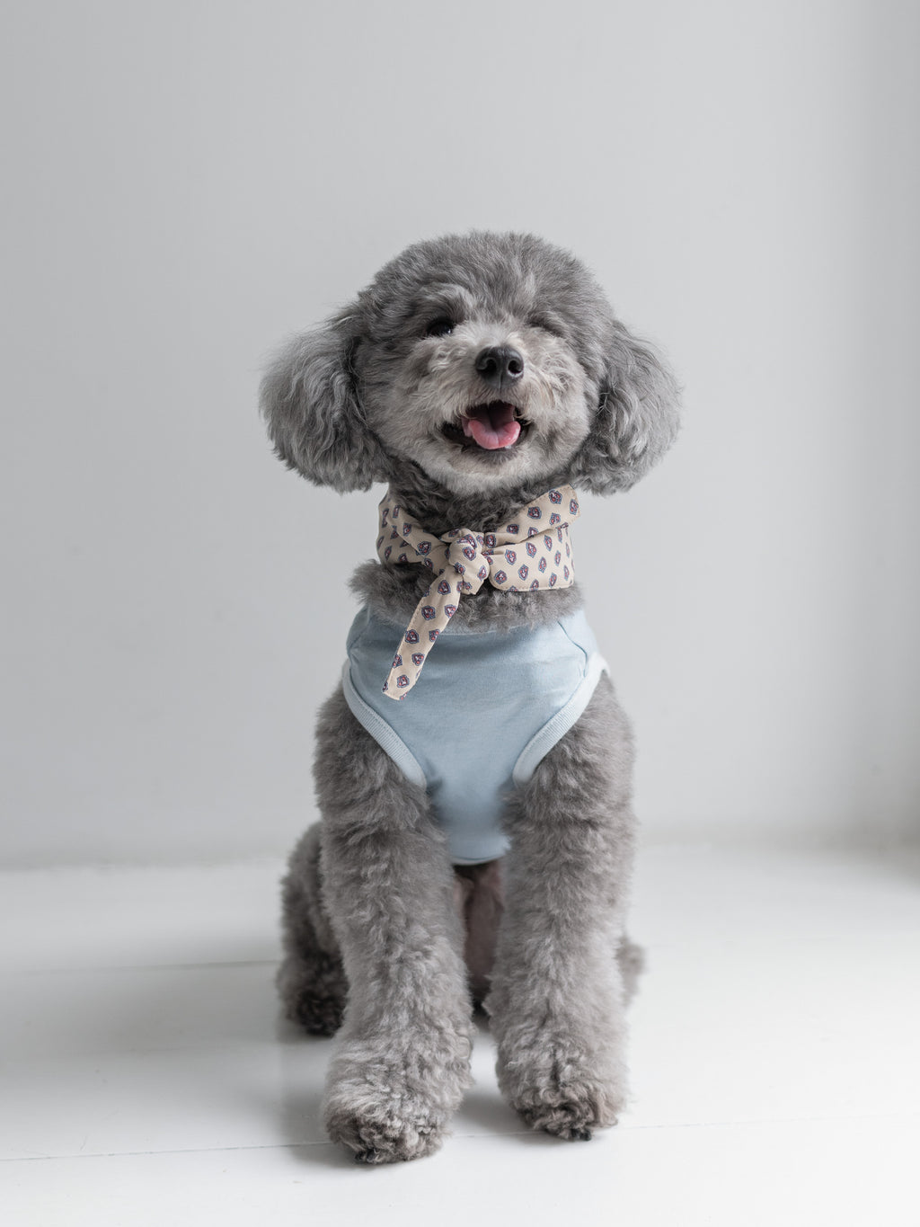 NEAR Dog Scarf