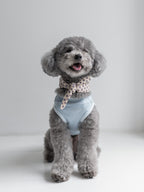 NEAR Dog Scarf