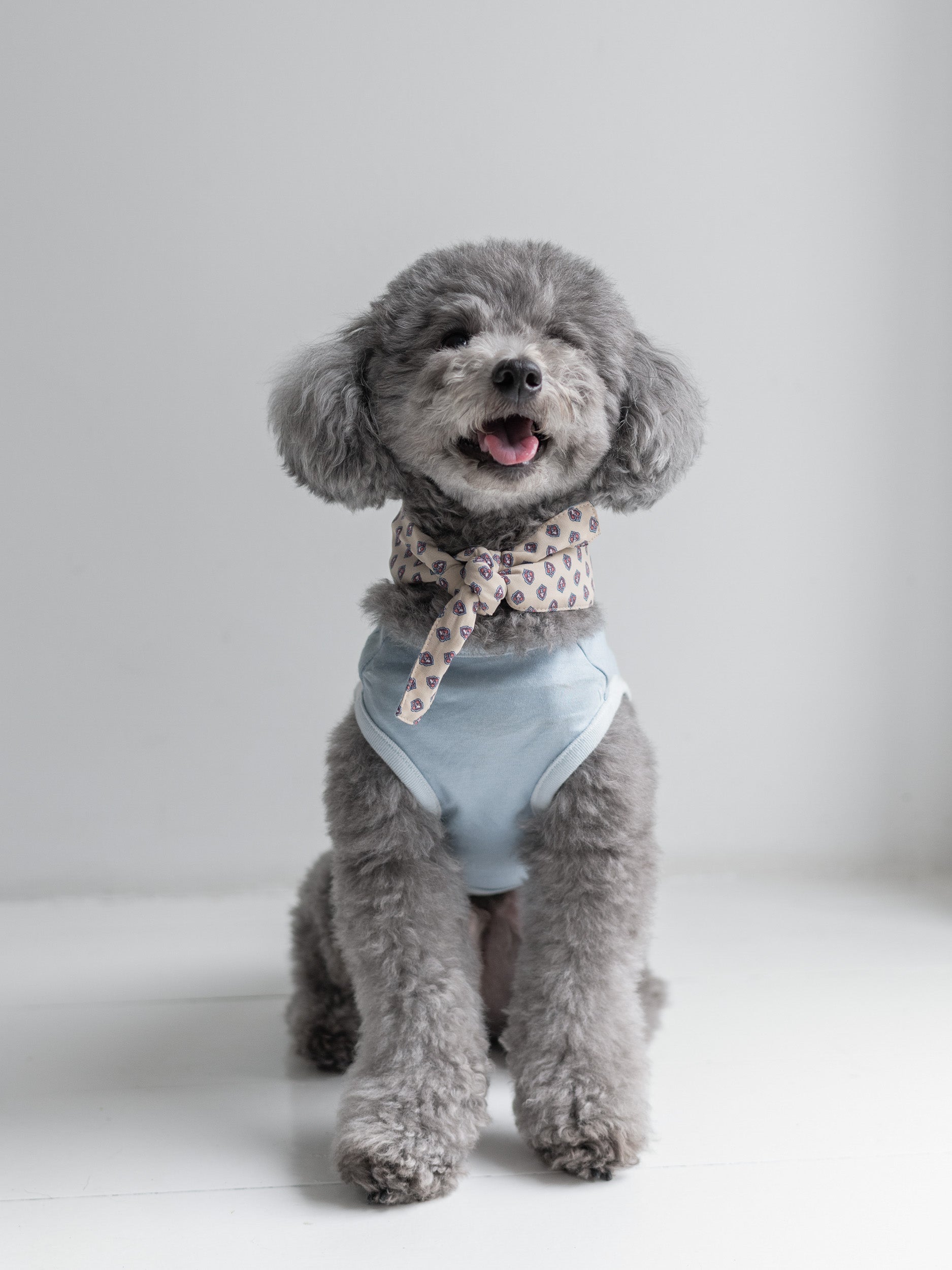 NEAR Dog Scarf