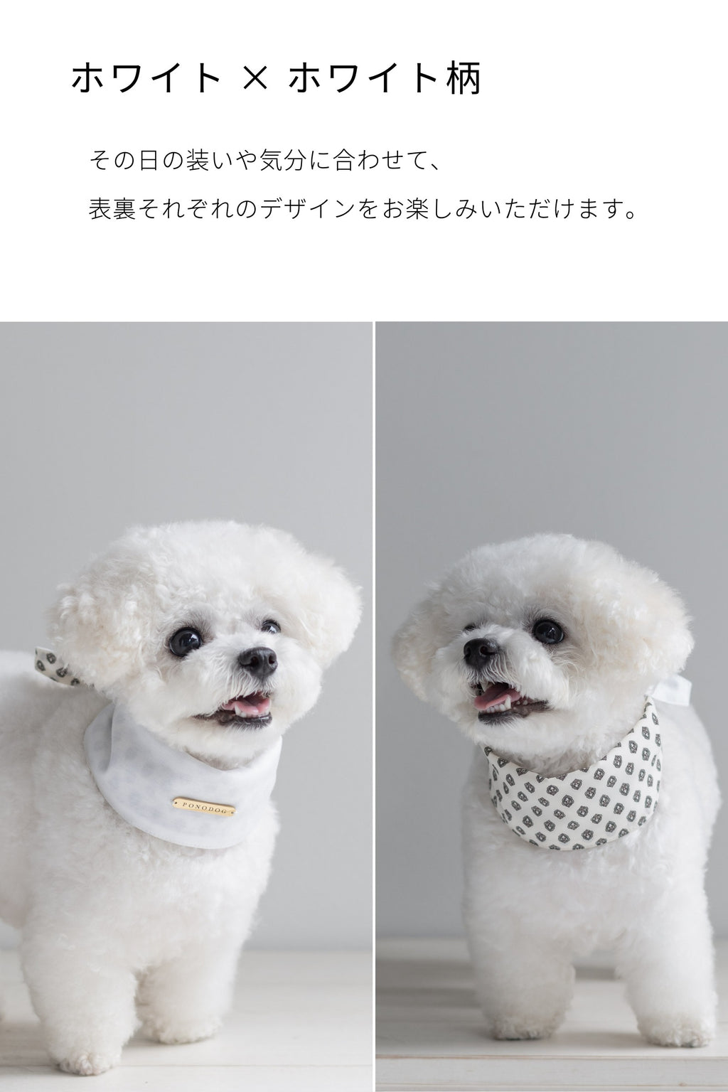 NEAR Dog Scarf