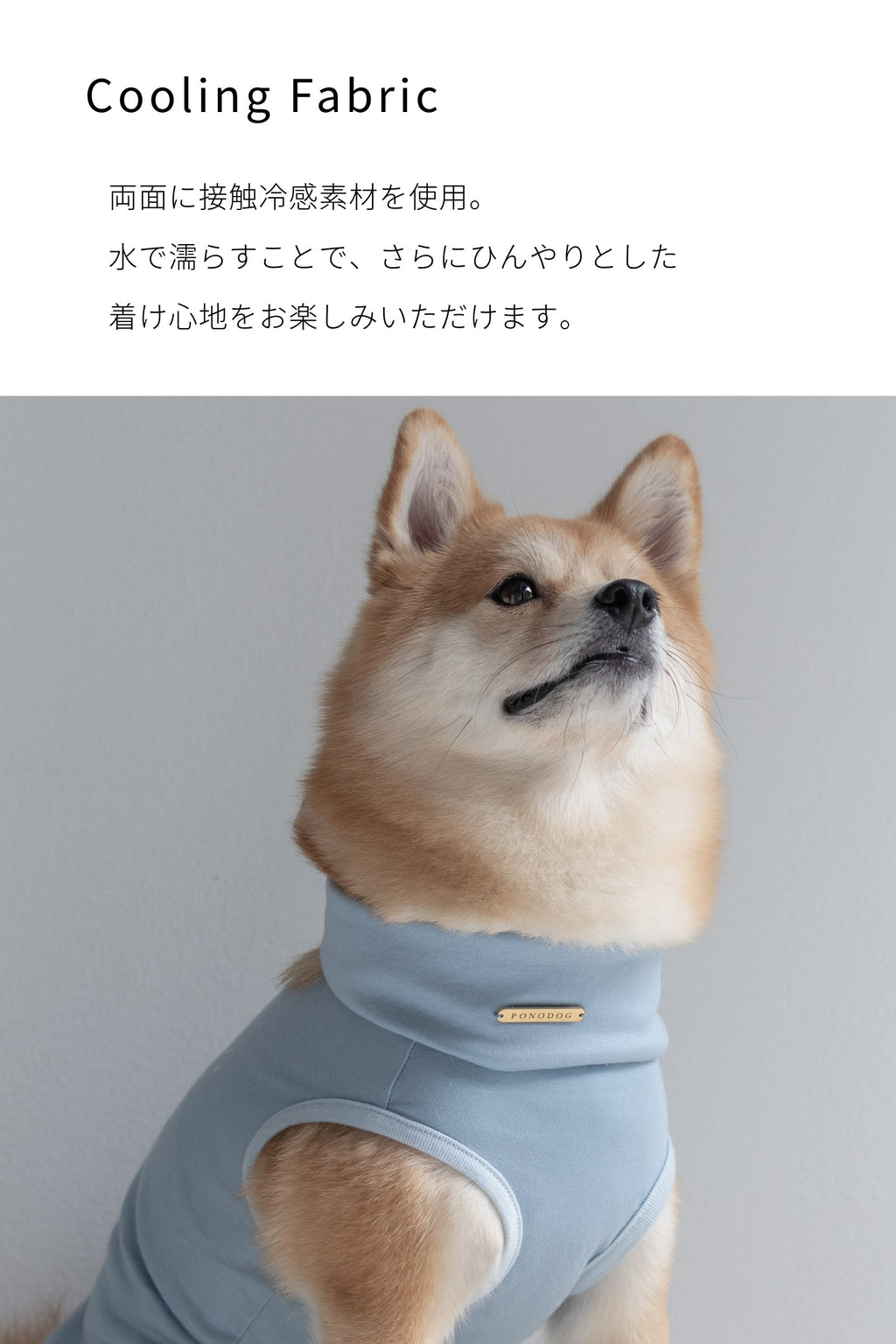 NEAR Dog Scarf