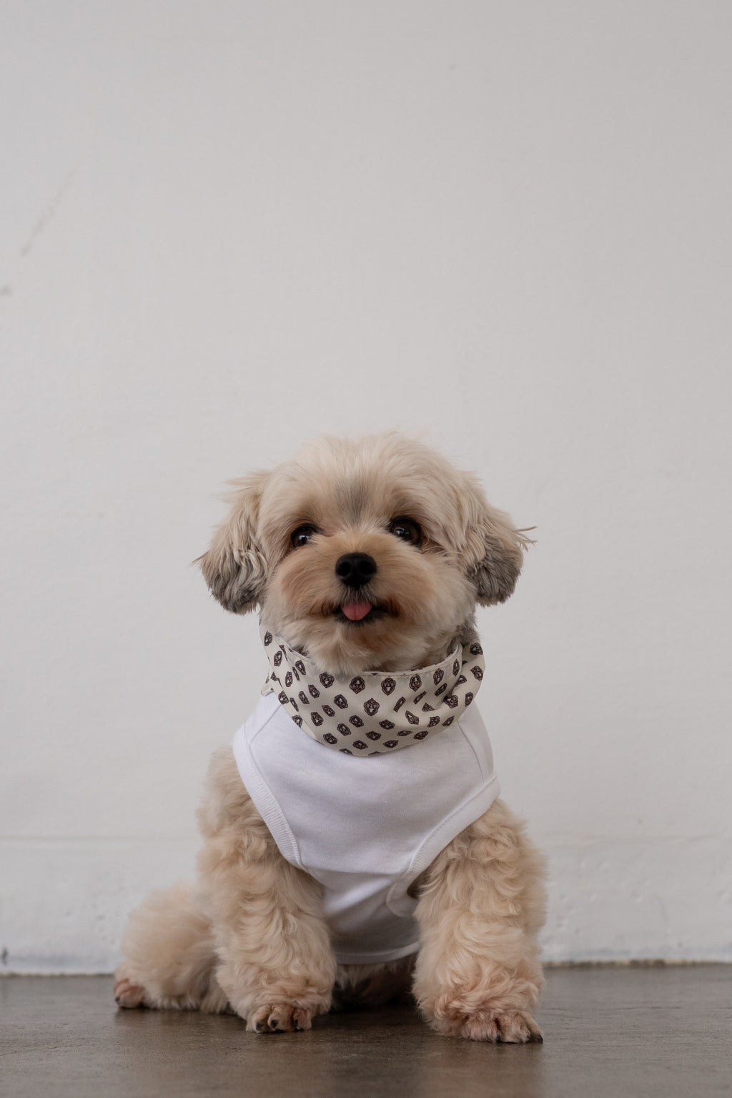 NEAR Dog Scarf