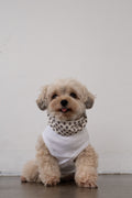 NEAR Dog Scarf