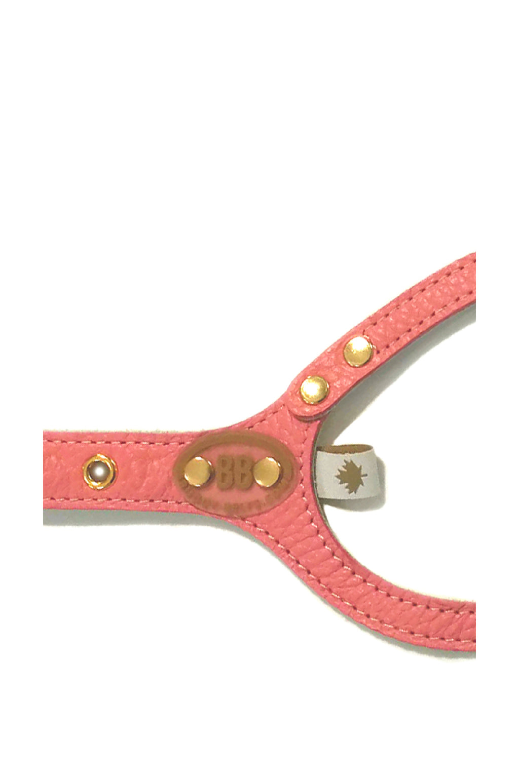 BuddyBelts Harness & Lead – CoralDream