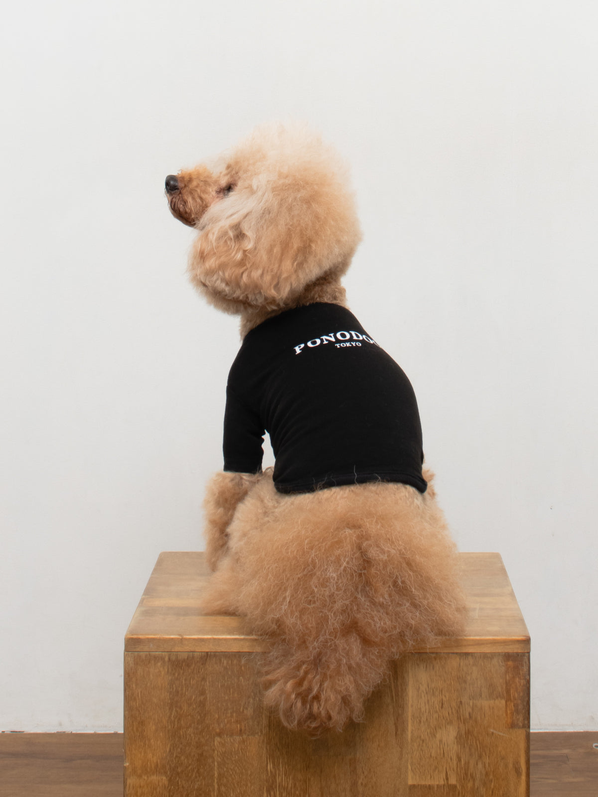 Warm Logo Tee - Black｜伸びて動きやすい、吸湿発熱Tシャツ