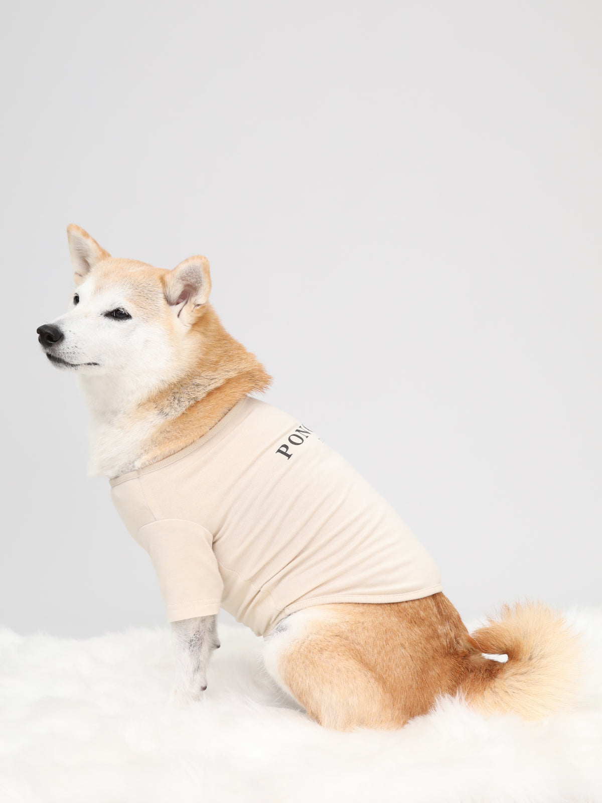 Warm Logo Tee - Ivory｜伸びて動きやすい、吸湿発熱Tシャツ