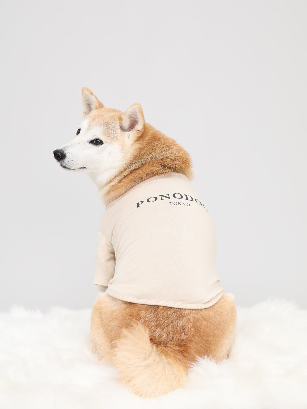 Warm Logo Tee - Ivory｜伸びて動きやすい、吸湿発熱Tシャツ