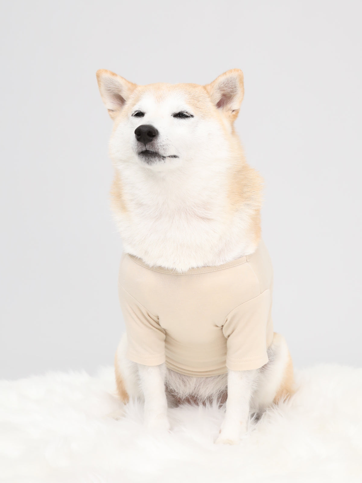 Warm Logo Tee - Ivory｜伸びて動きやすい、吸湿発熱Tシャツ