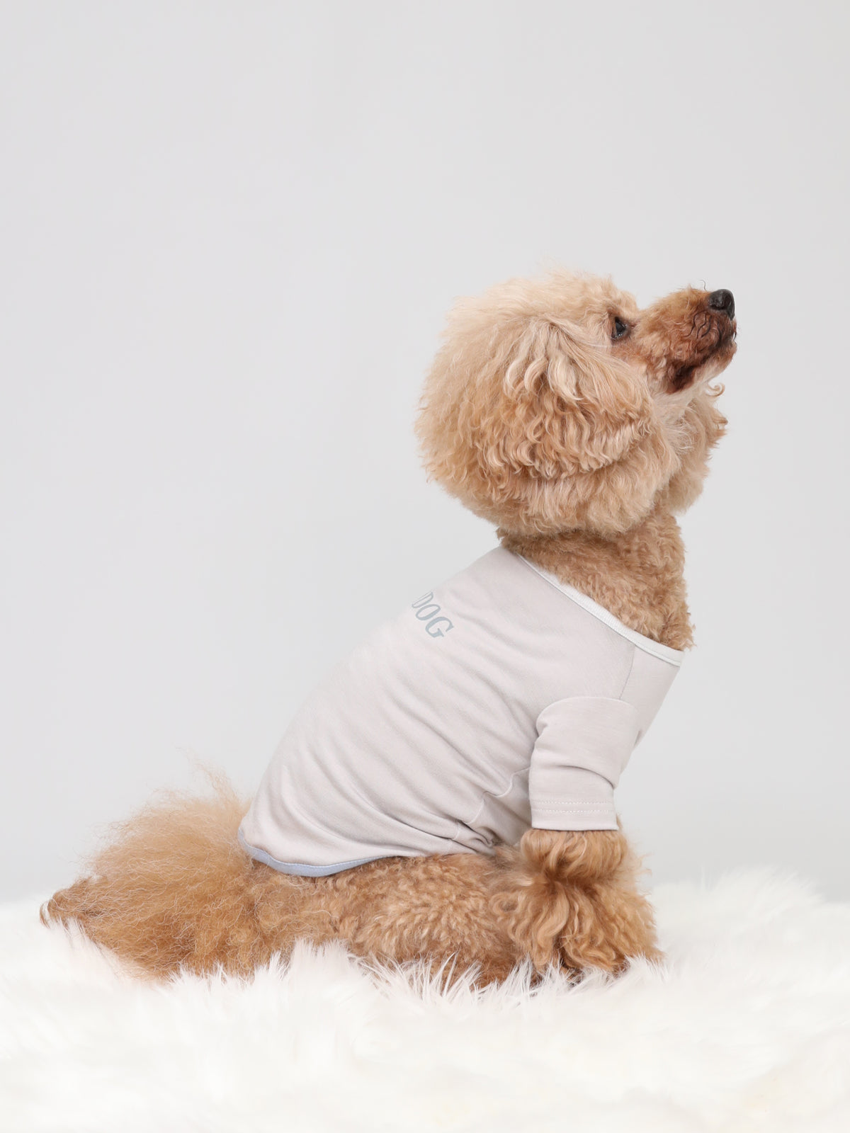 Warm Logo Tee - Light Grey｜伸びて動きやすい、吸湿発熱Tシャツ