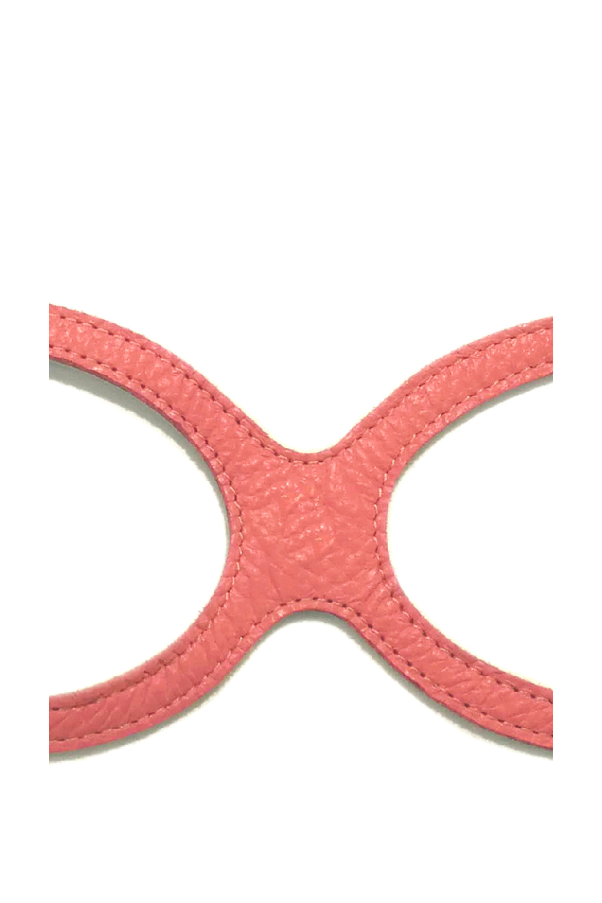 BuddyBelts Harness & Lead – CoralDream