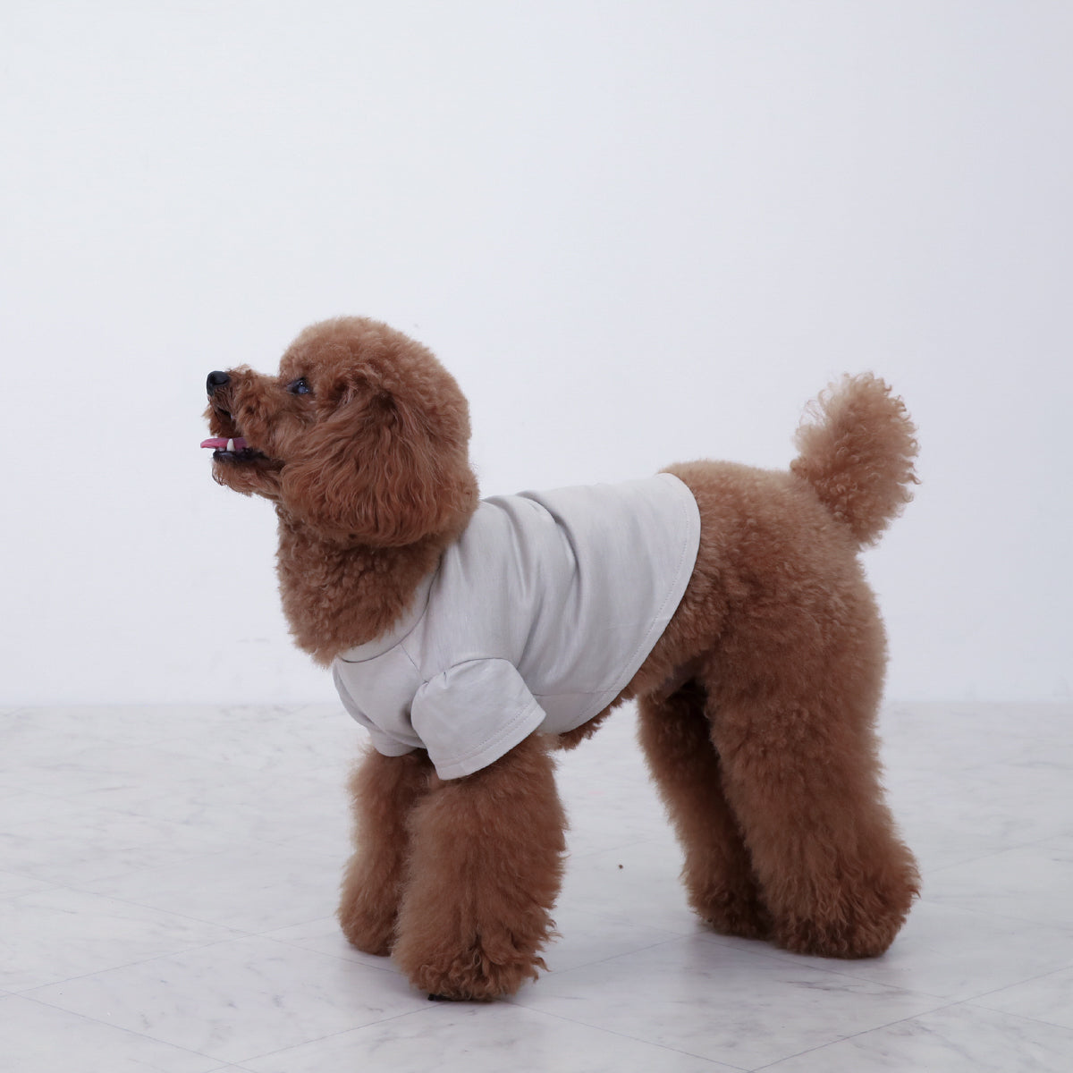 Icy Chill Tee - Greige