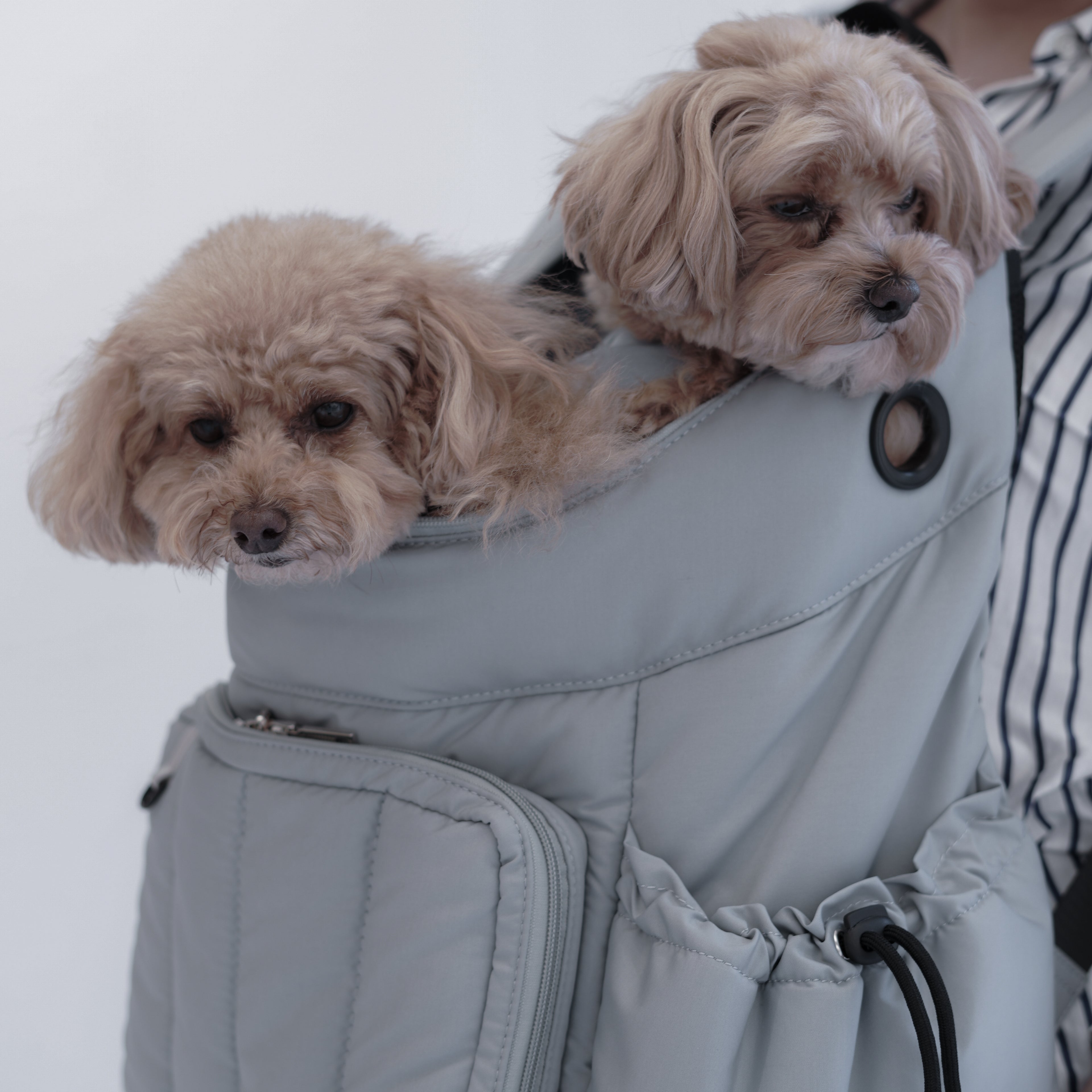 Backpack Carrier M - Blue Grey / Blue Piping