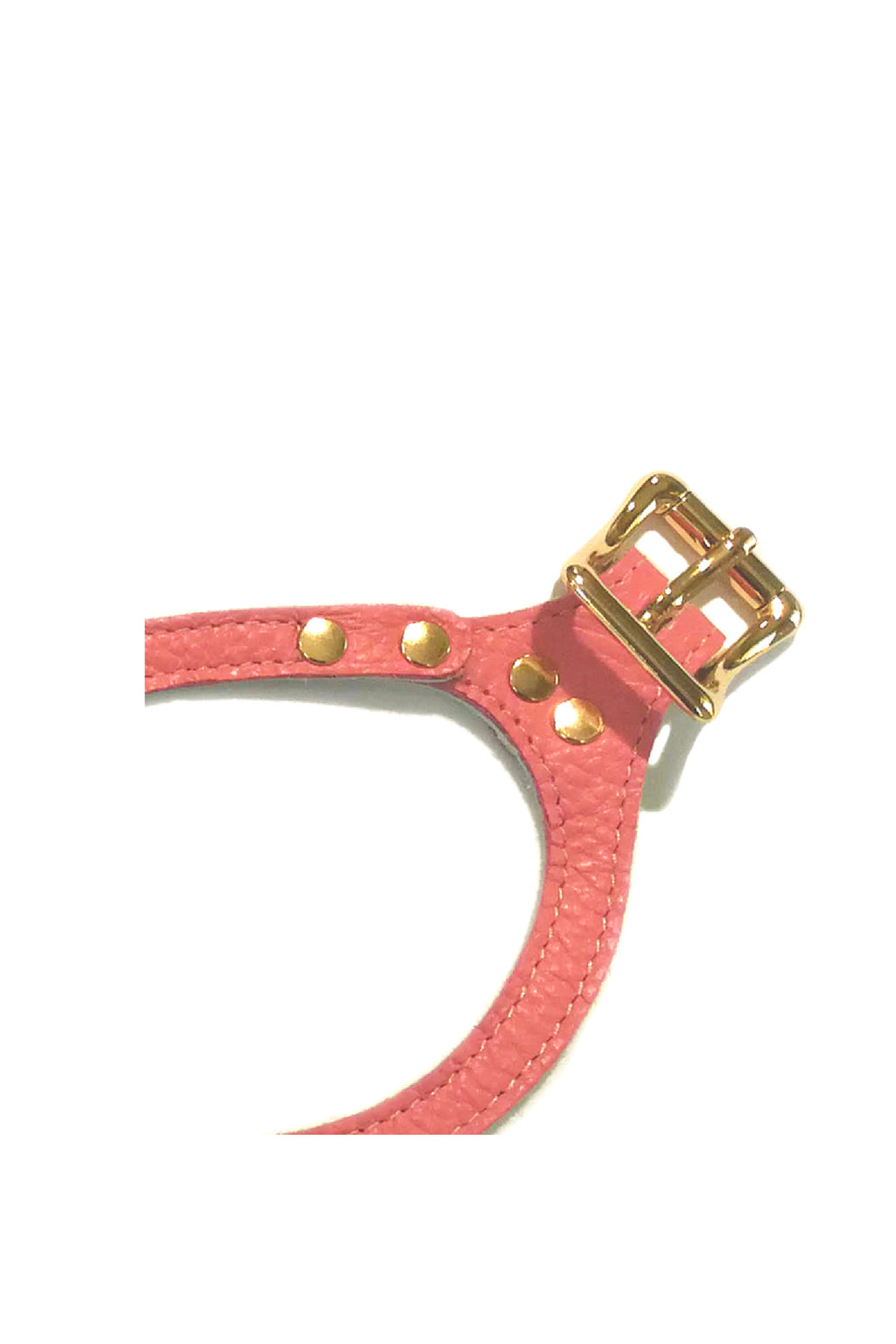 BuddyBelts Harness & Lead – CoralDream