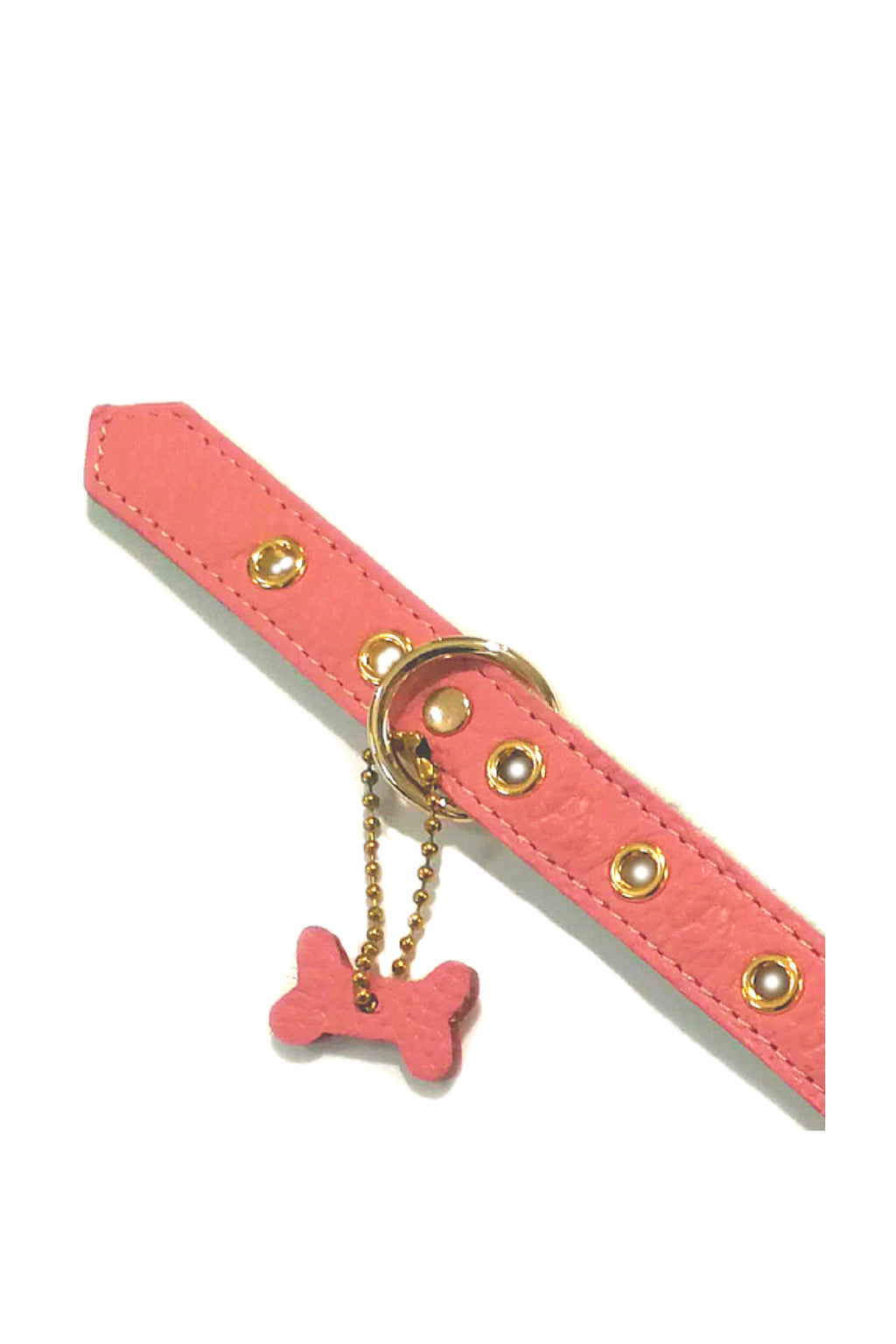 BuddyBelts Harness & Lead – CoralDream