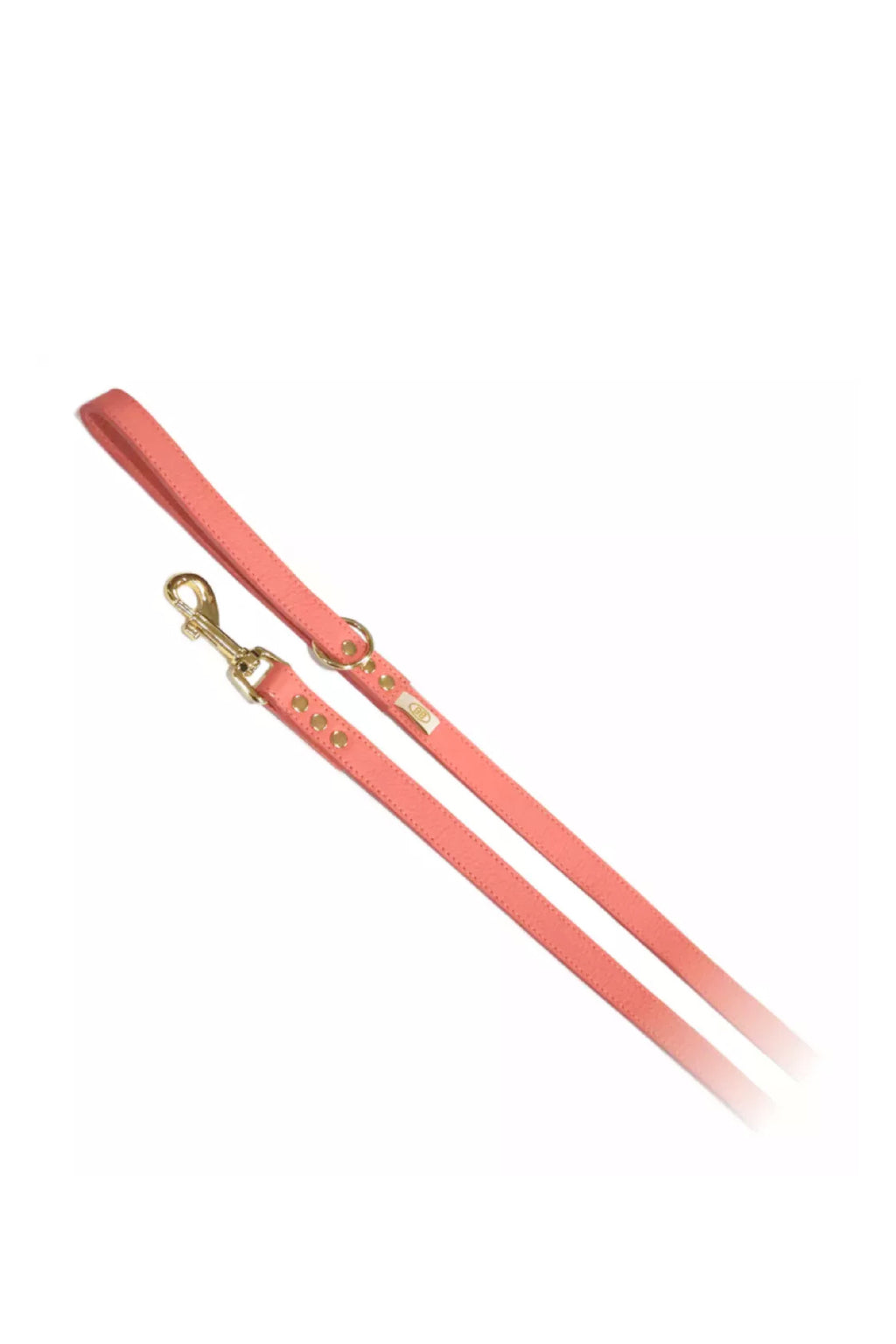 BuddyBelts Harness & Lead – CoralDream