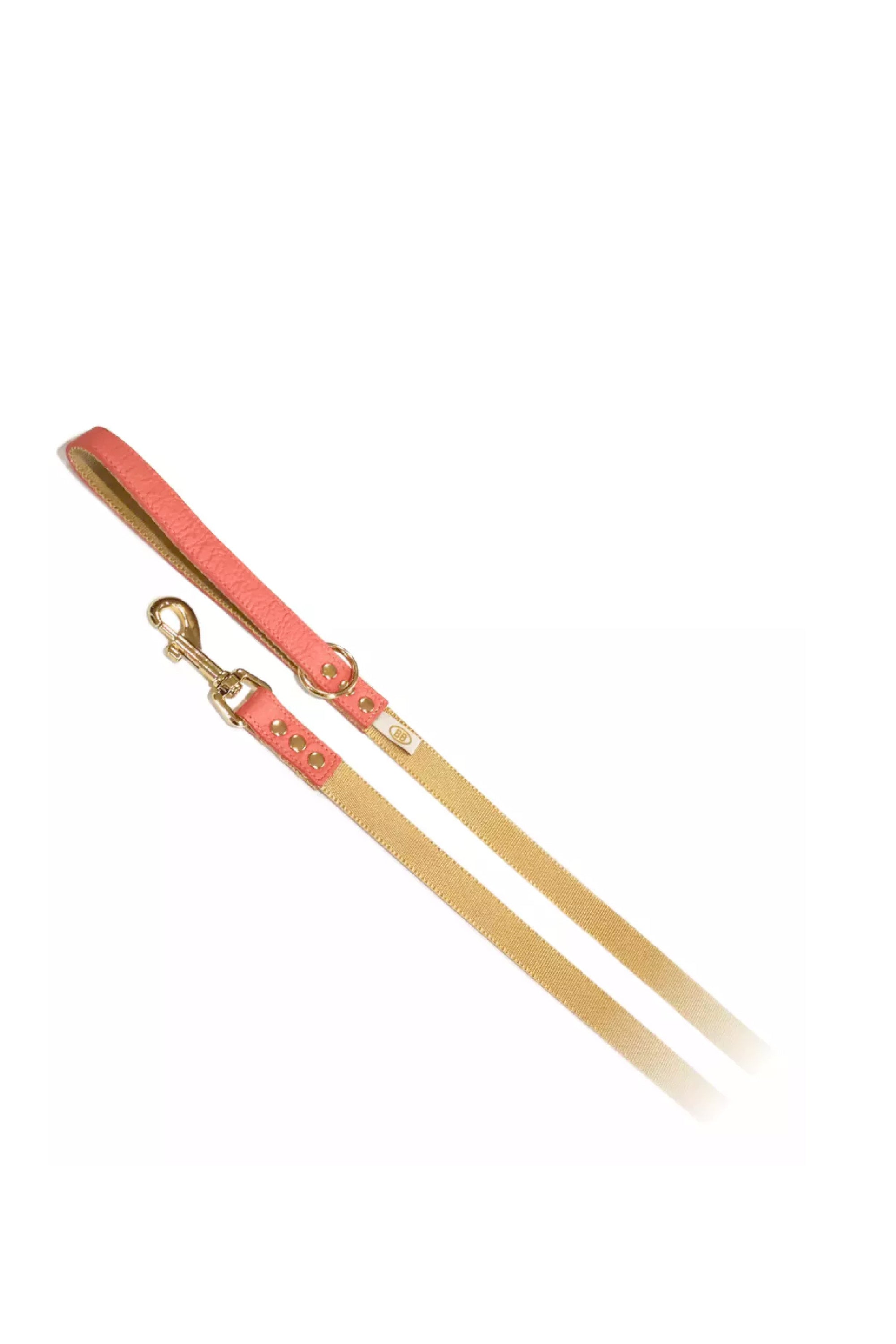 BuddyBelts Harness & Lead – CoralDream
