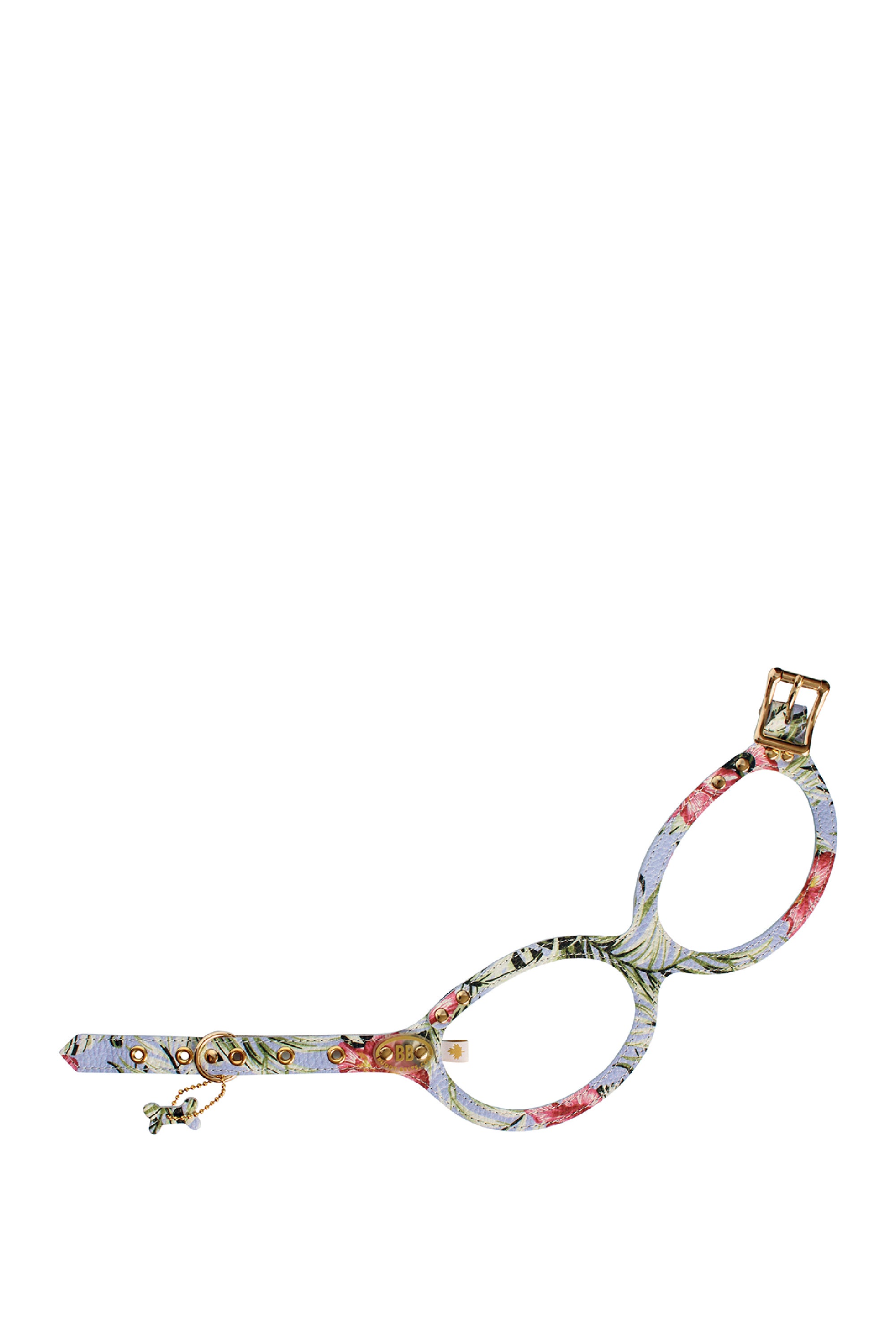 BuddyBelts Harness & Lead – BuddyBahama