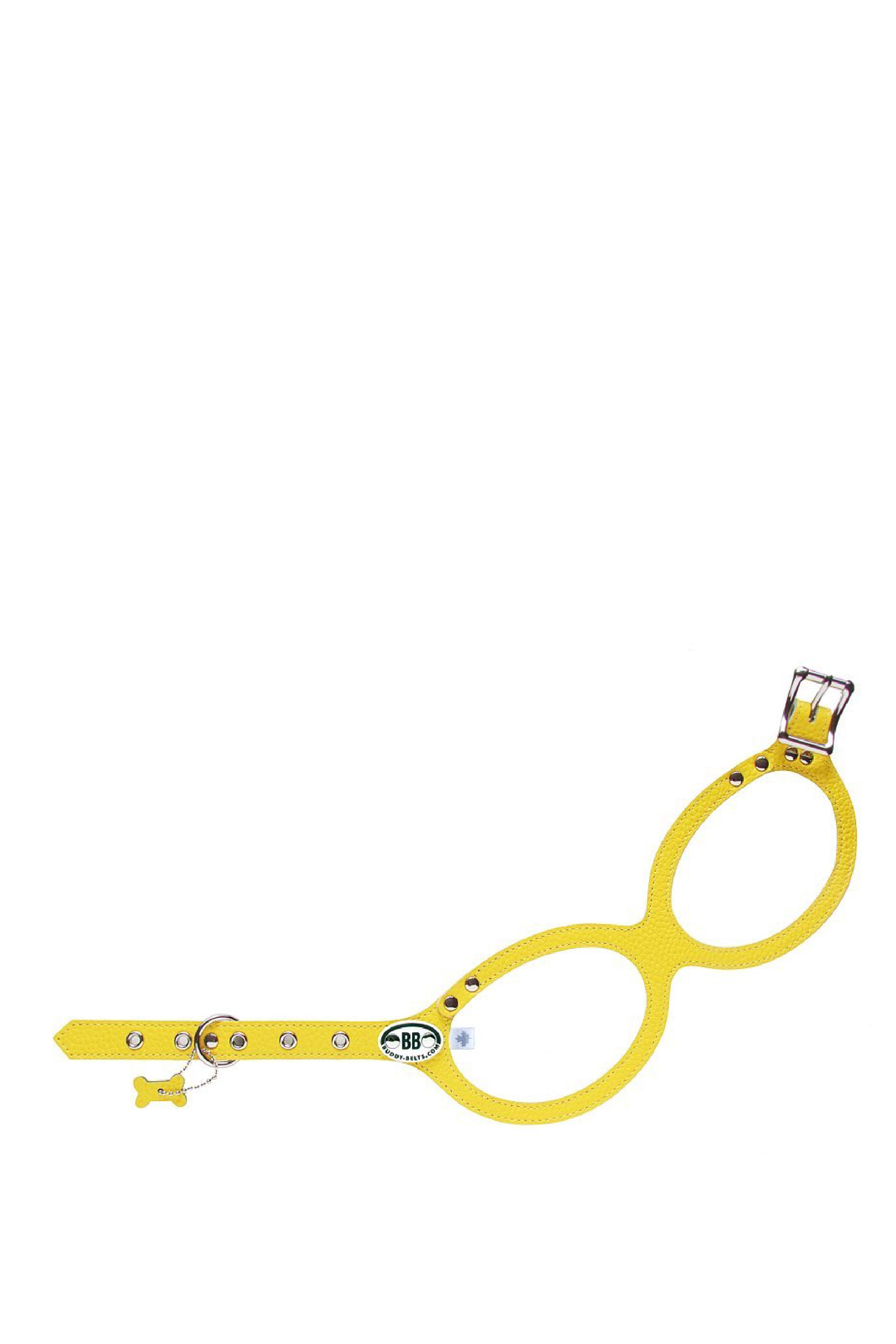 BuddyBelts Harness & Lead – Canary Yellow