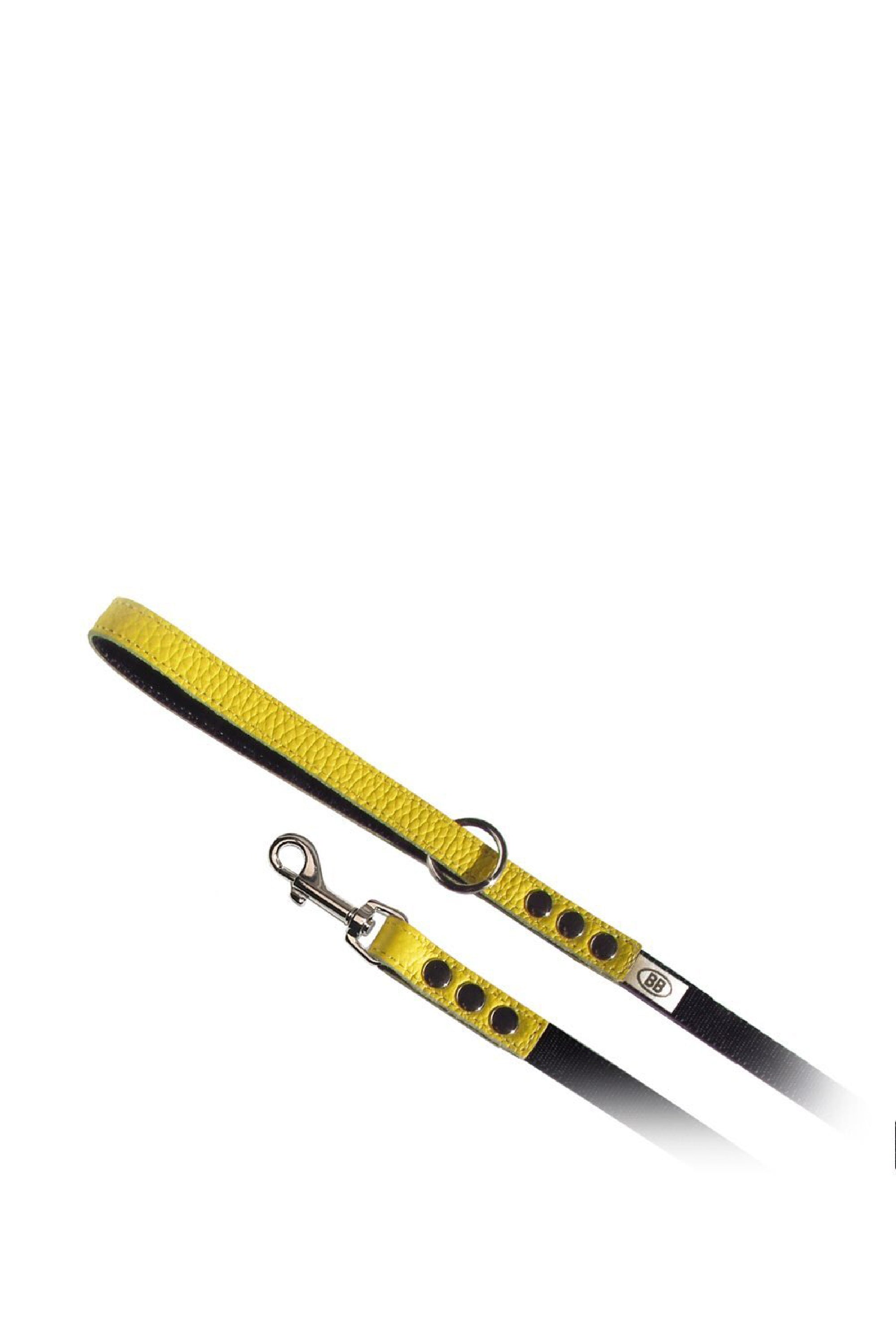 BuddyBelts Harness & Lead – Canary Yellow